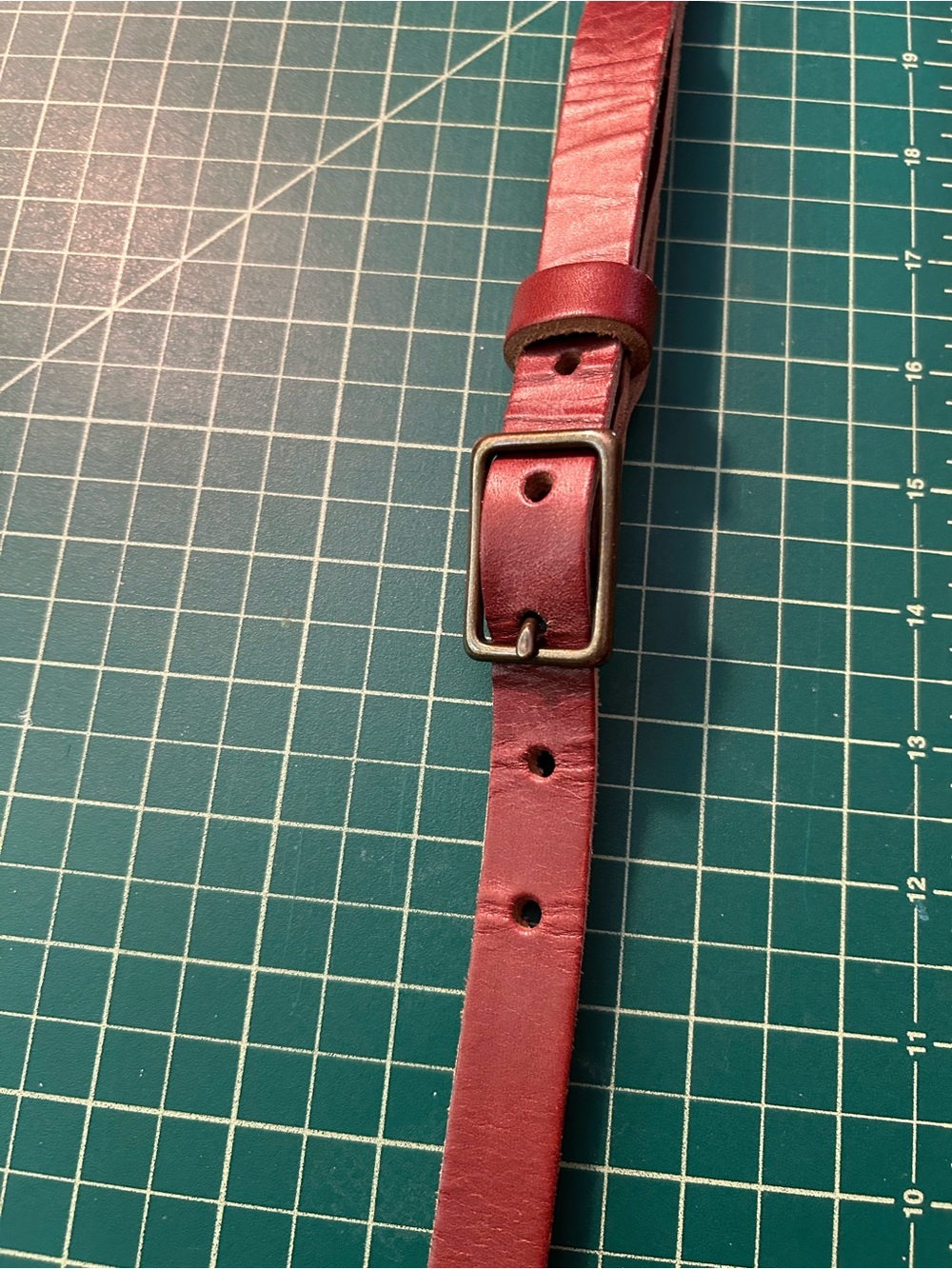Go Forth Goods Crossbody Strap - Picture 3 of 6